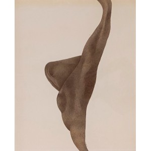 Imran Haider, 19.6 x 27.5 Inch,  Mix media on archival paper, AC-IMH-001